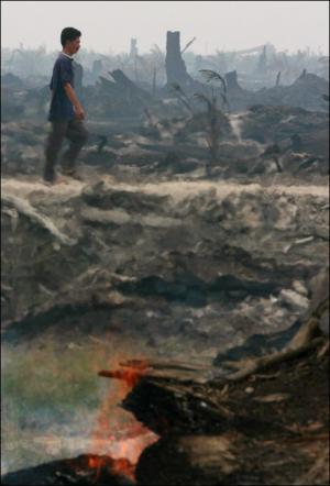 Afbeelding: Een door het vuur verwoeste plantage op Sumatra."