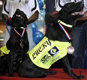 Afbeelding: Lucky en Flo met hun medaille."