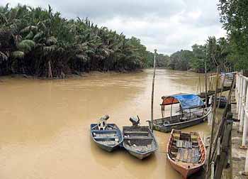 Image: Sungai Linggi."
